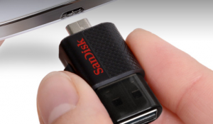 SanDisk-1-en