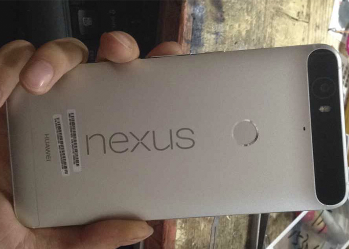 New Nexus devices with specific date for release in September 1